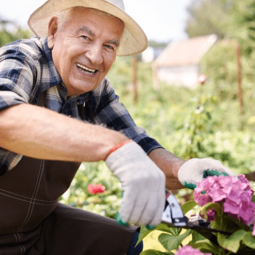 Happy grandpa working in his garden