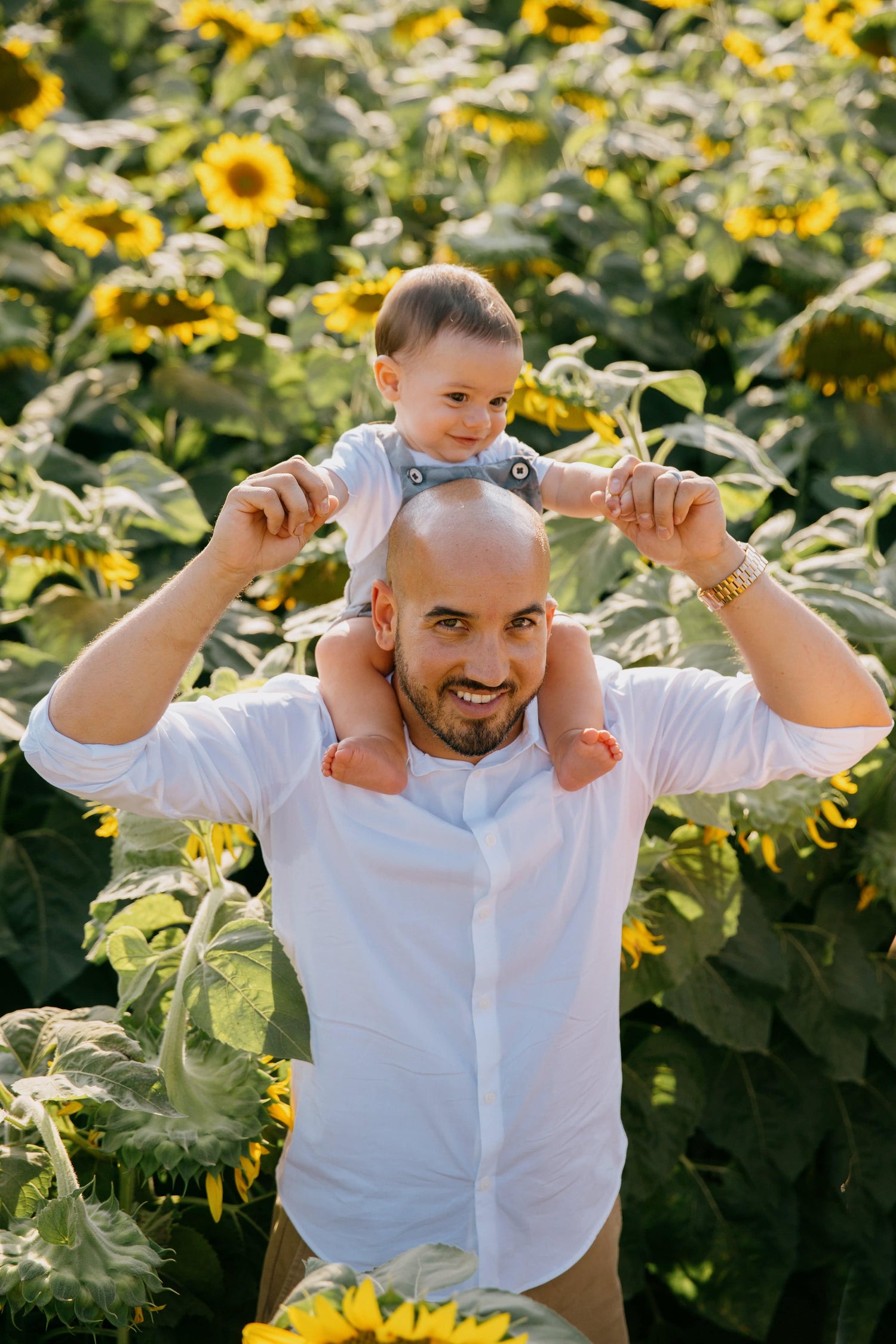 Child sits on his father's shoulders in a sunflower field